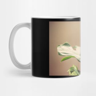 Deliciosa Mug